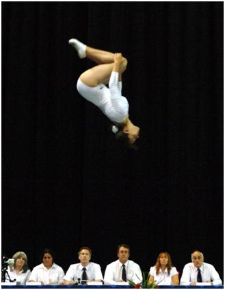 image of The Chance To See The Worlds Best Gymnasts Ahead Of London 2012