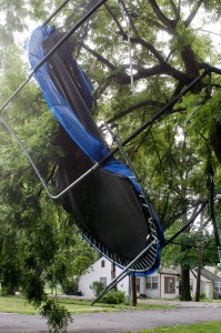 image of Spot the Trampoline