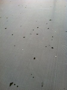image of Damaged Trampoline Mat
