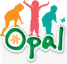 image of Developing our Outdoor Play Range with OPAL