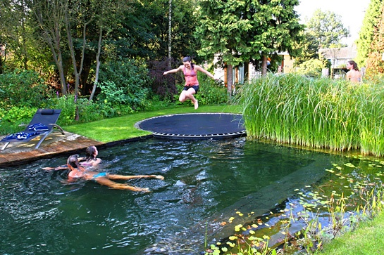 image of Trampoline Diving Board