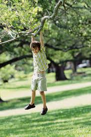 image of What's so important about outdoor play?