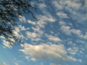 View from a garden trampoline