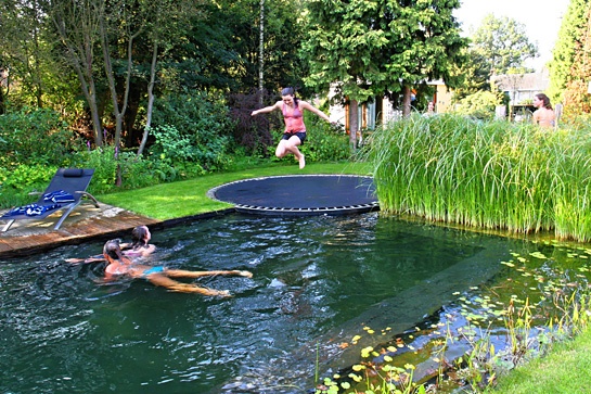trampoline diving board